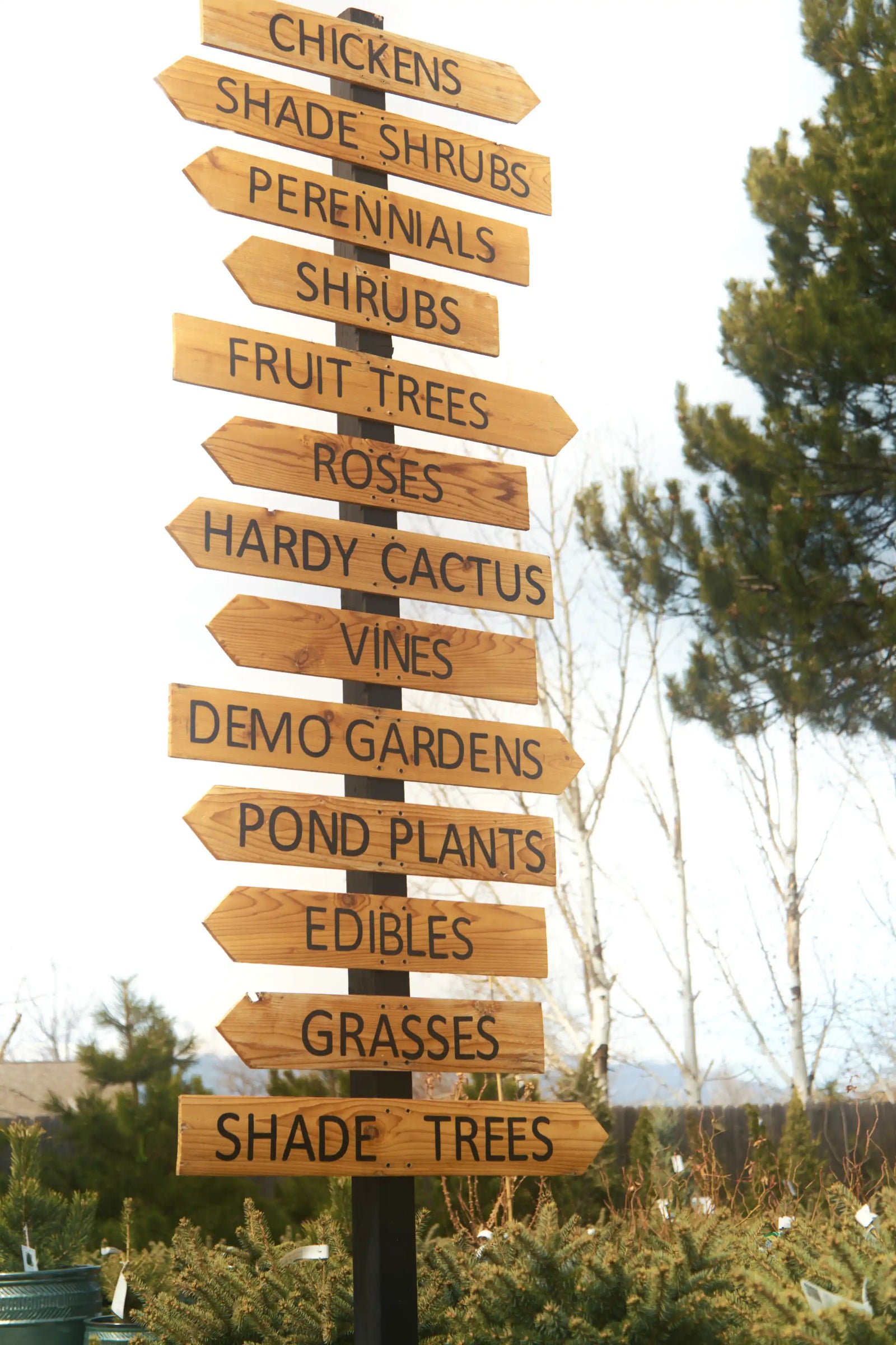 A photograph of various signs that point to sections of Phelan Gardens such as Perennials, Vines, Grasses and more